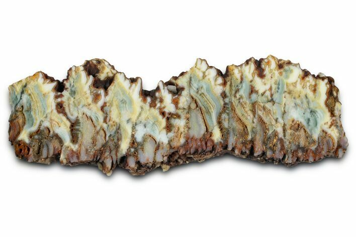 Polished Gabbs Valley Seam Agate Slab - Nevada #371177
